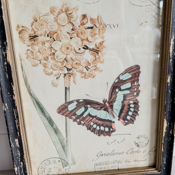 Vintage Style Butterfly & Insects Floral Garden Room Wall Art Decor, Set of 2 - Picture 4 of 6